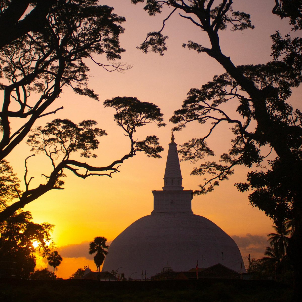 Explore the Wonders of Anuradhapura’s Ancient City (Sri Lanka): Hours 