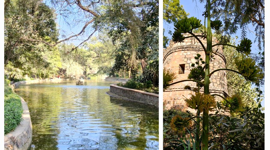 Lodhi Gardens: A Tranquil Oasis in the Heart of Delhi - Visitors' Experience