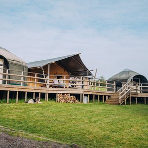 Withybed Yurts