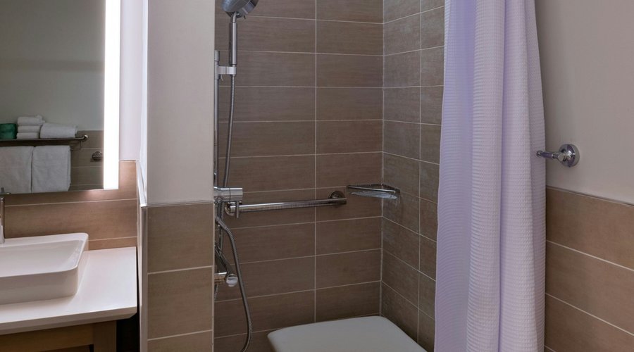 Accessible Guest Bathroom - Roll-In Shower
