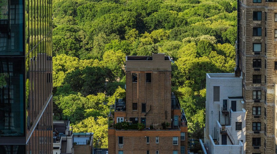 View from Rooftop