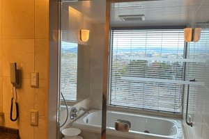 旅行者の写真