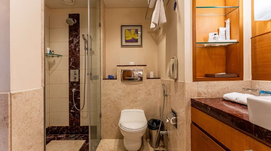 Deluxe Room bathroom