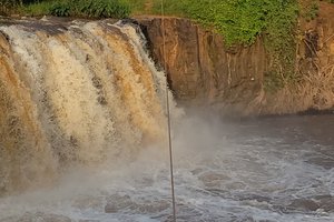Khách du lịch