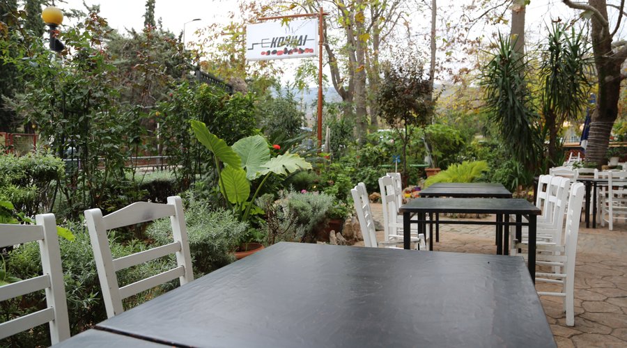 Tables in the lush garden, to enjoy your meals