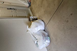 旅行者の写真