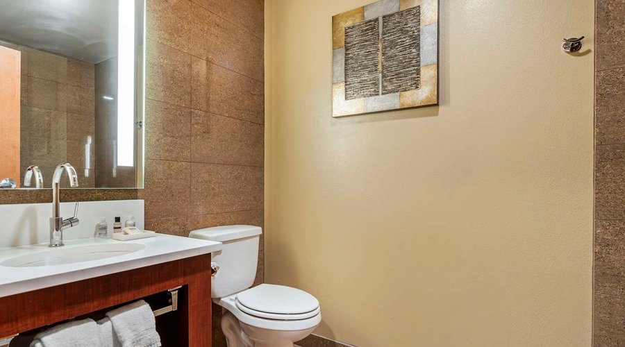Guest Room Bath