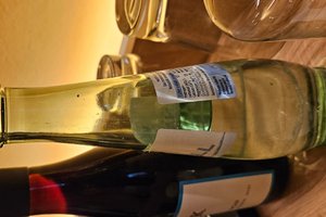 Viaggiatori