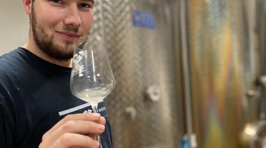 WEINGUT MAX ALLACHER (Gols) Ce qu'il faut savoir pour votre visite