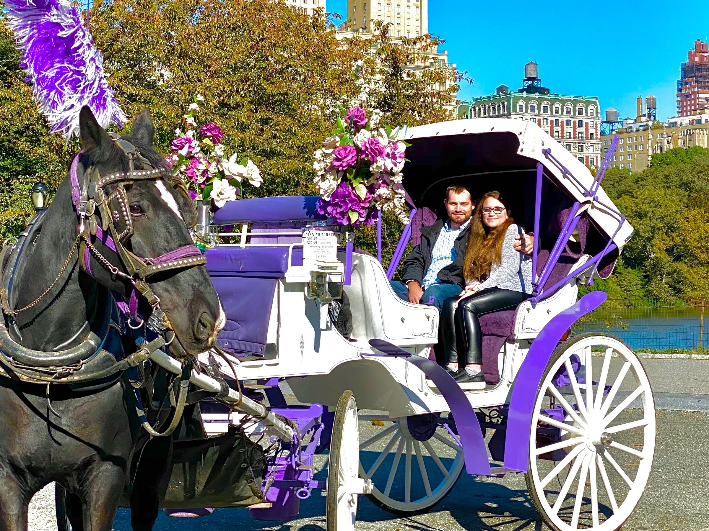 Central Park Horse Carriage Ride (new York City) - All You Need To Know 