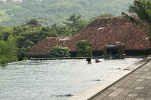 Khách du lịch