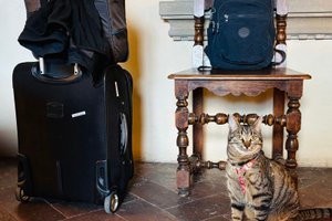 Viaggiatori