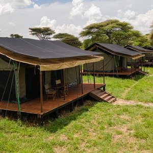All our 12 rooms are on elevated wooden platforms, with an extensive veranda, with space between each tent for exclusivity and privacy, shaded under trees with neat surroundings, overlooking Turner river valley.