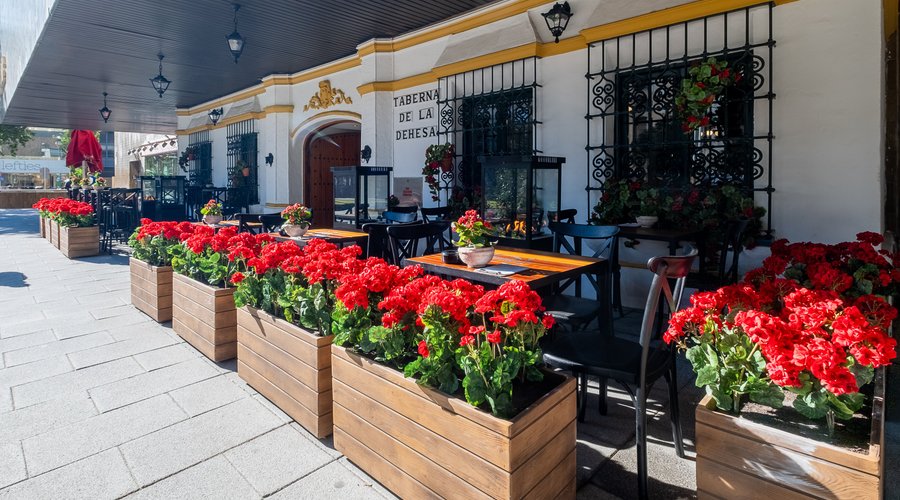 Una terraza acogedora donde degustar las mejores tapas