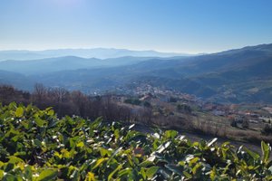Viaggiatori