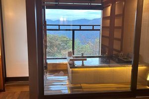 Wisatawan