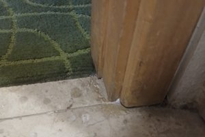 Viajero