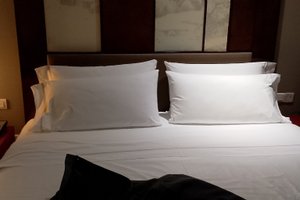 旅行者の写真