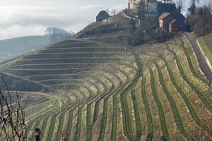 Reiziger