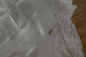 Viajero
