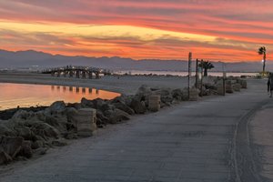 المسافر