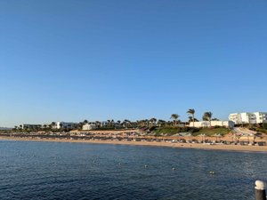 Pool & Beach