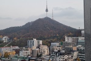 旅客