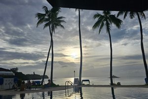旅行者の写真