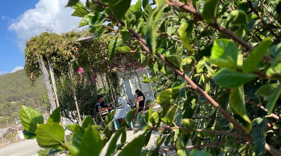 Speisen direkt aus dem Garten kosten.
