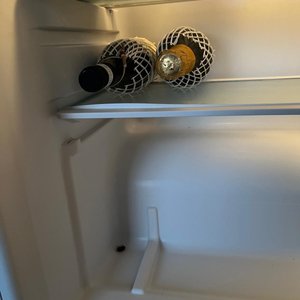 Kakalake im Kühlschrank