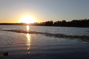 Viajero