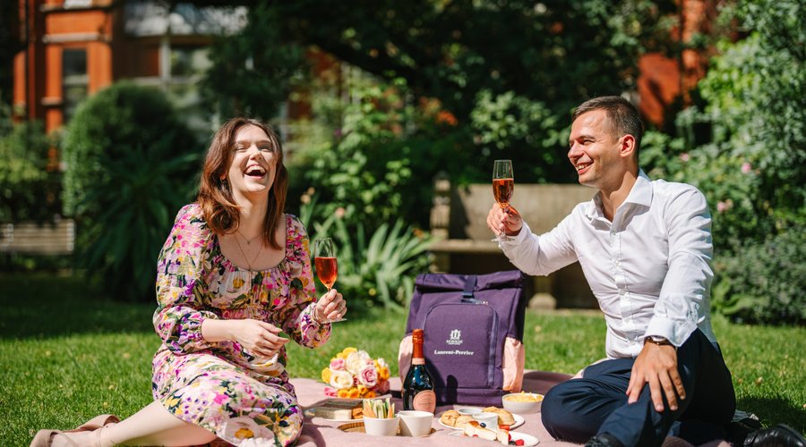 Summer picnic in our garden grounds