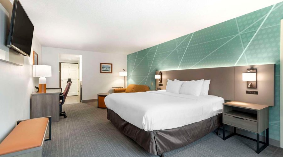 Guest room with king bed(s)