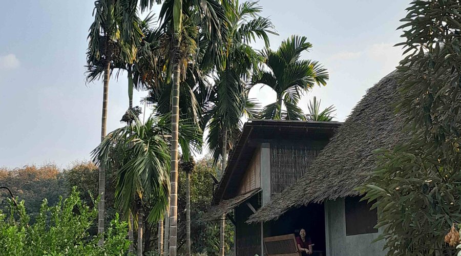 rooms are set in lush grounds