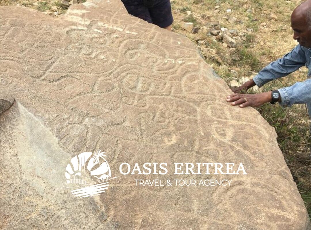 VISIT ERITREA ( OASIS TRAVEL AND TOUR AGENCY) (2025) All You Need to