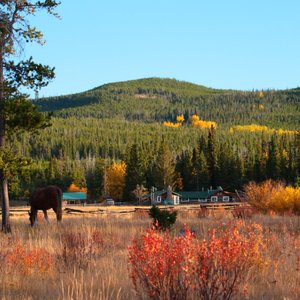 The Teepee Heart ranch, settled in the middle of the wilderness