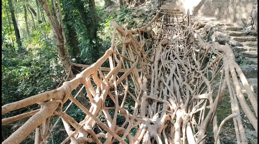 UMKAR LIVING ROOT BRIDGE - Qué DEBES saber antes de ir (2025)