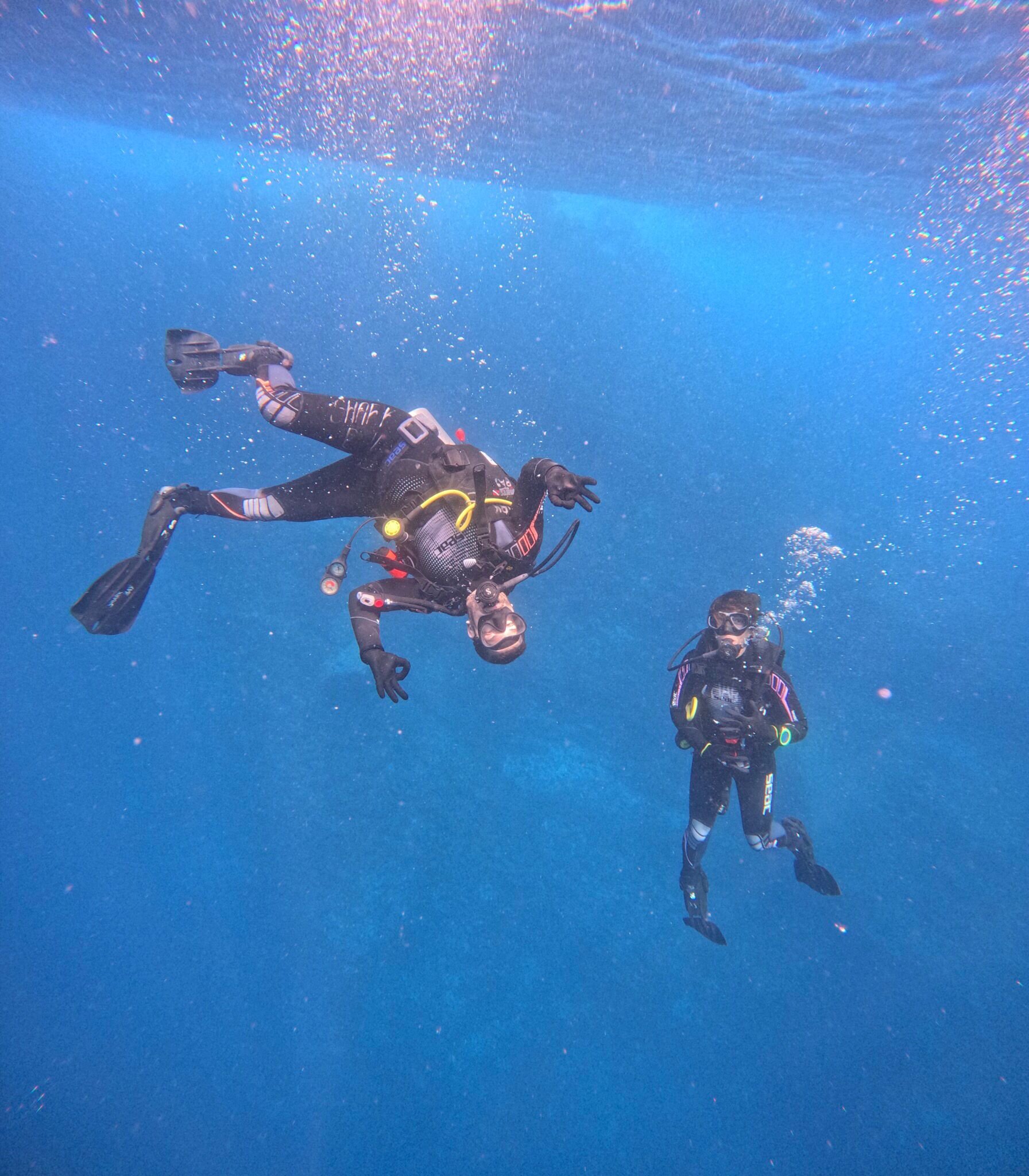 Shark Bay Dive Center (2025) - All You Need to Know BEFORE