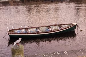 Voyageur