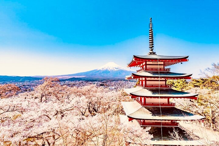 2025年 田河水泡・のらくろ館 - 出発前に知っておくべきこと