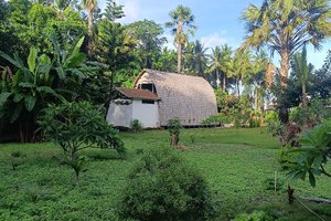 Wisatawan