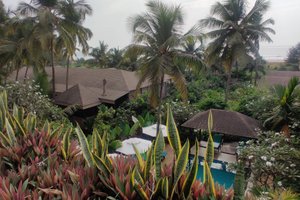 Khách du lịch