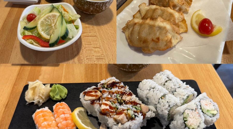 Sushi lunch and gyoza