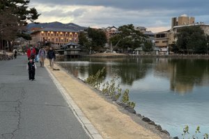 旅行者の写真