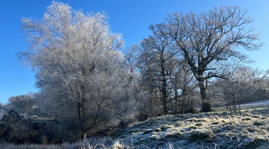 3.  Scotney Castle Estate Walking Trails, Lamberhurst, Kent (January 2025)
