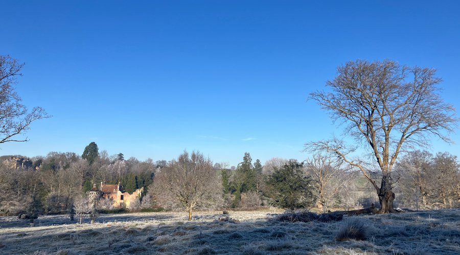 4.  Scotney Castle Estate Walking Trails, Lamberhurst, Kent (January 2025)