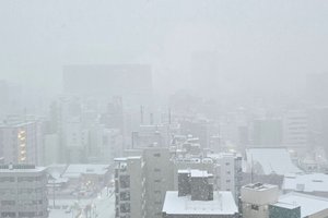 旅行者の写真