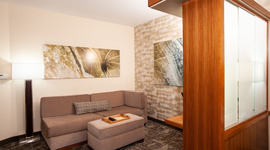Suite - Sleeper Sofa