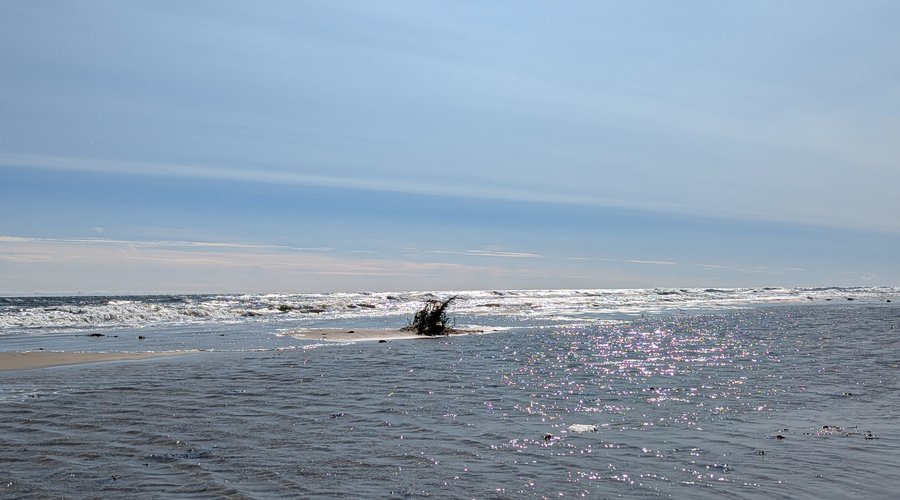 Borrbystrand
