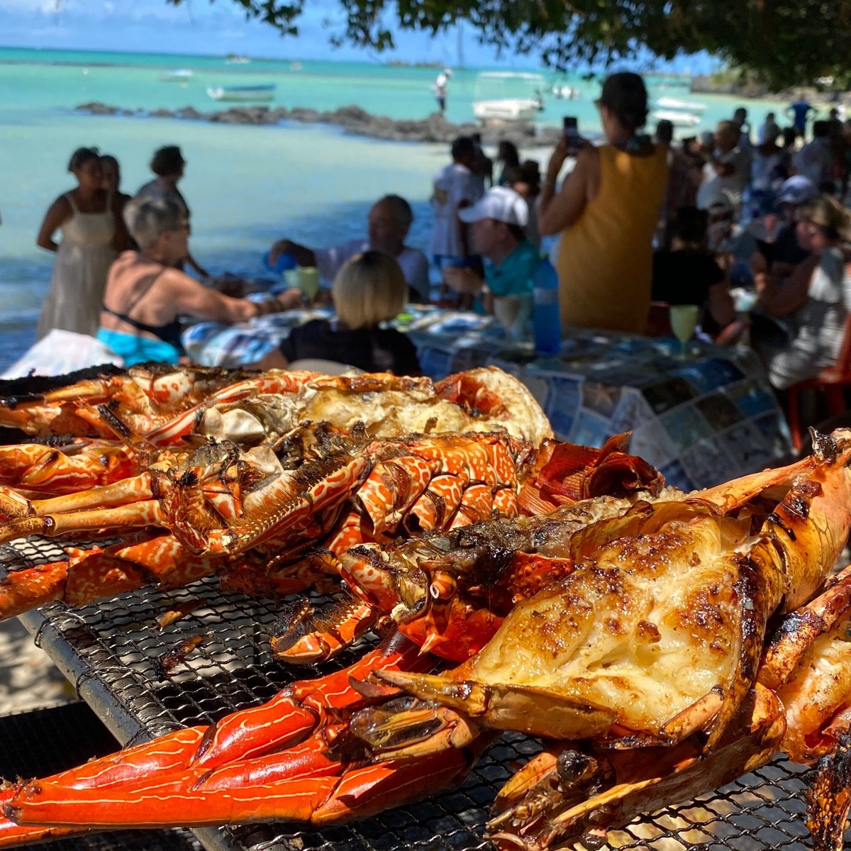 Serenity Voyages Tours (Mauritius) - Lohnt es sich? Aktuell für 2025 ...